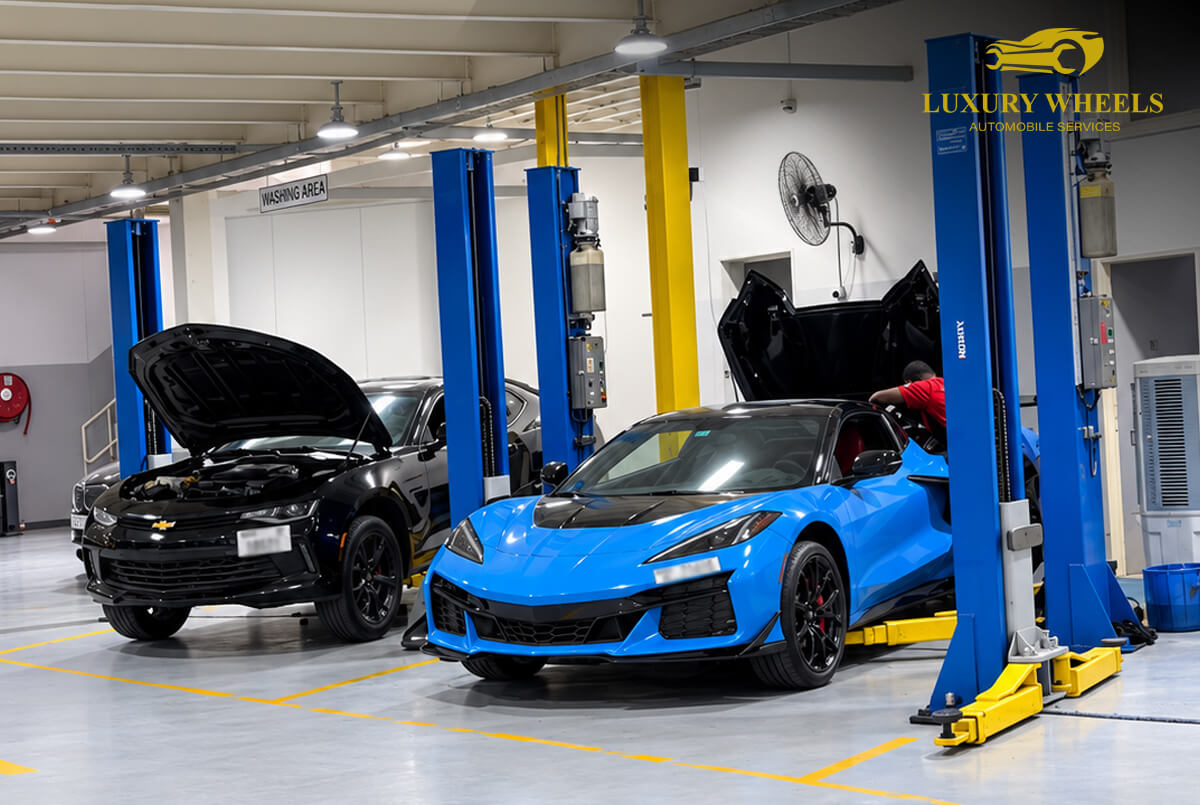 Major Car Service vs. Minor Service