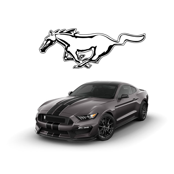 About Our Mustang Car Service in Dubai