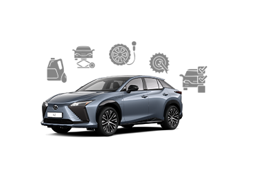 Lexus Major Services