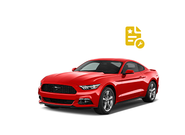 Mustang Services Contract